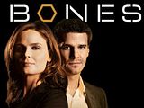 Bones